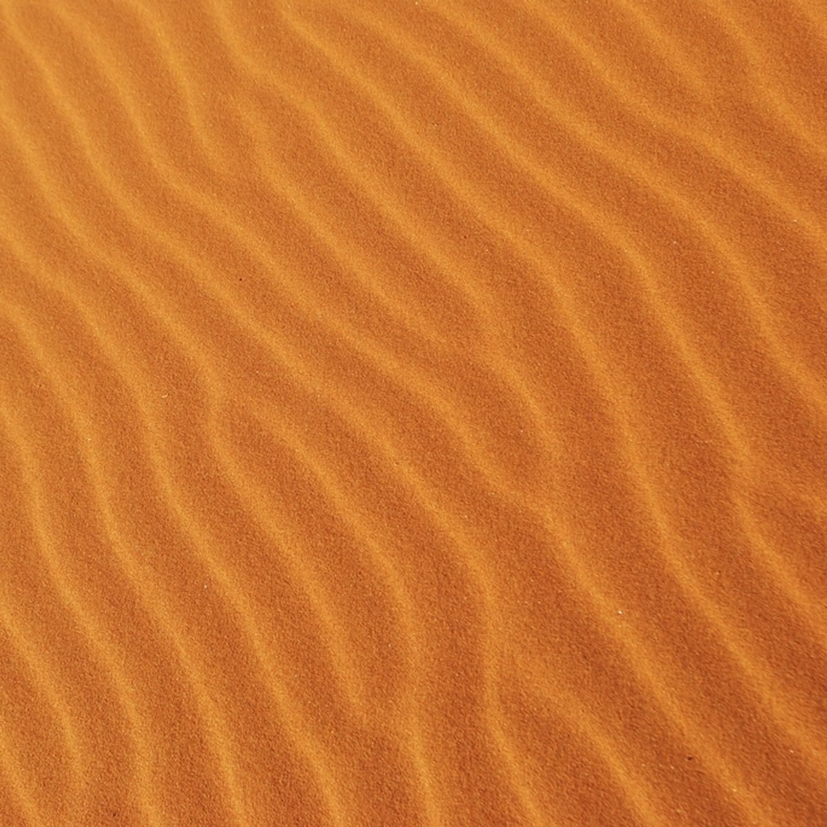 Sahel